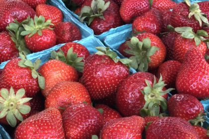 Farmers Market Strawberries